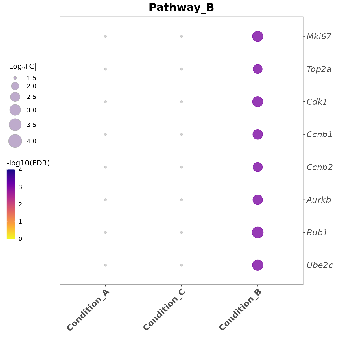 Pathway_B